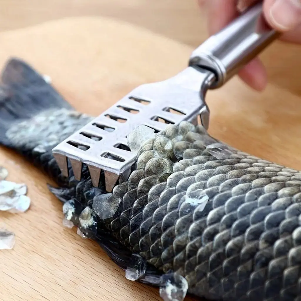 Stainless Steel Fish Scale Remover Tool with Ergonomic Handle - obeepo.in